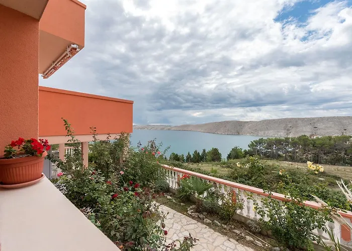 Apartments Andelo Vlasici